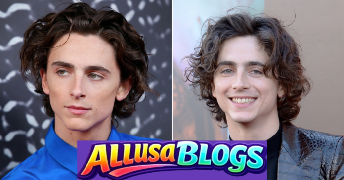Timothee Chalamet Age